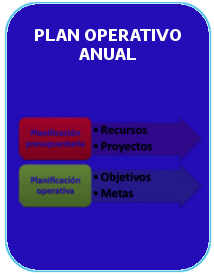 Plan Oerativo Anual (POA)